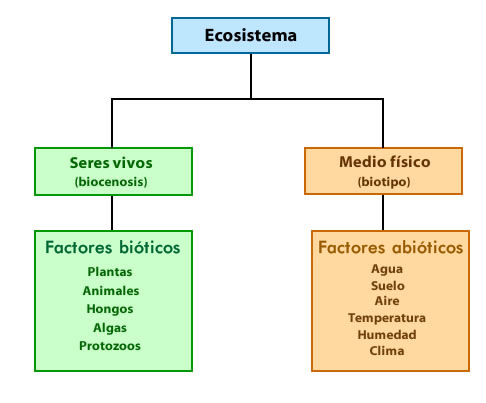 ecosistema_2