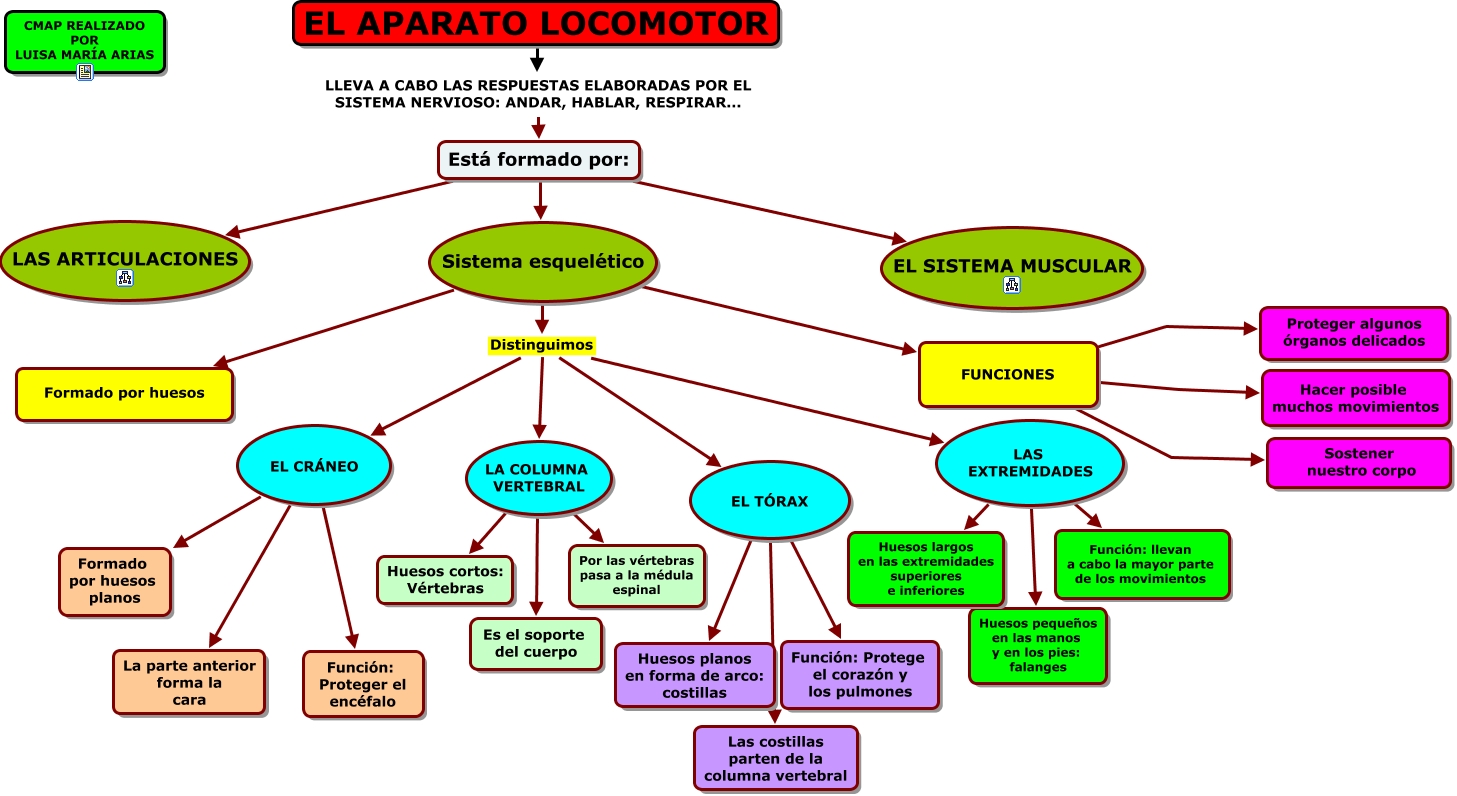 EL APARATO LOCOMOTOR (1)