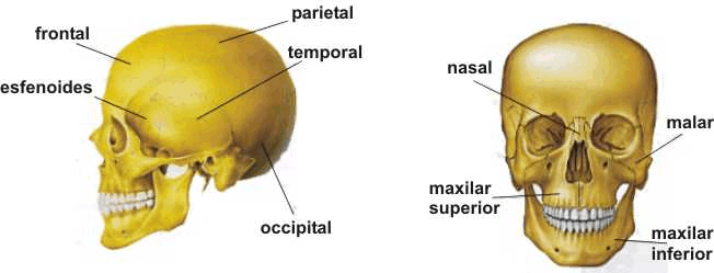 huecabeza