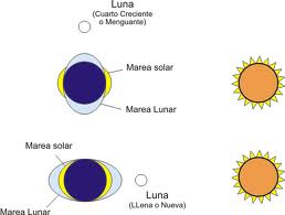 luna-mareas